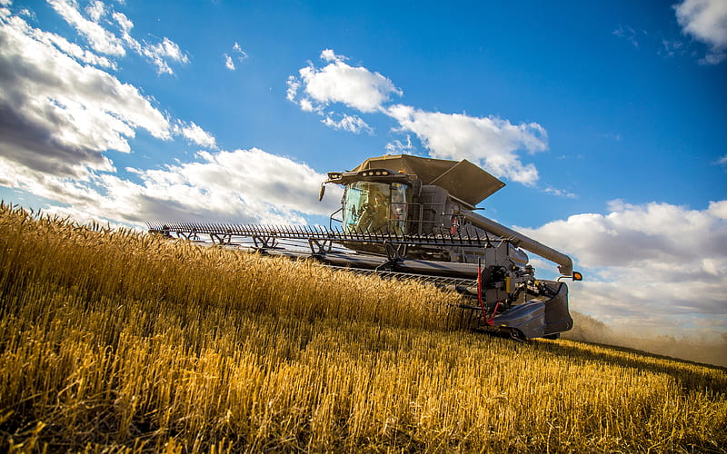 Fendt Ideal 8 wheat harvesting, 2020 combines, black combine, combine-harvester, harvesting concepts, agricultural machinery, Fendt, HD wallpaper