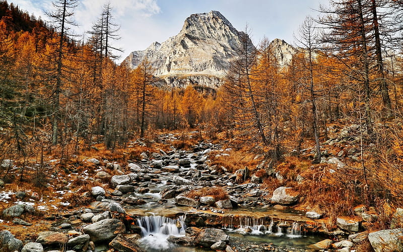 autumn, mountain landscape, yellow woods, mountains, mountain river, HD wallpaper