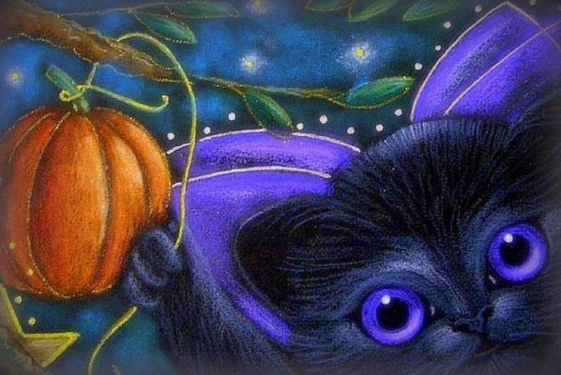 Kitten Fairy Halloween, holidays, lovely, halloween, creative pre-made, digital art, cat, October 31st, cute, paintings, black cat, pumpkin, weird things people wear, kitten, drawings, animals, HD wallpaper