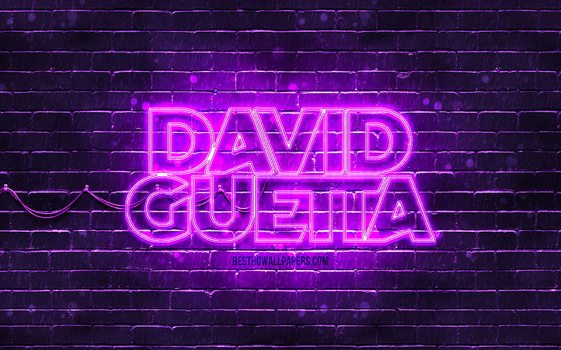 David Guetta violet logo music stars, french DJs, violet brickwall, David Guetta logo, Pierre David Guetta, David Guetta, superstars, David Guetta neon logo, HD wallpaper