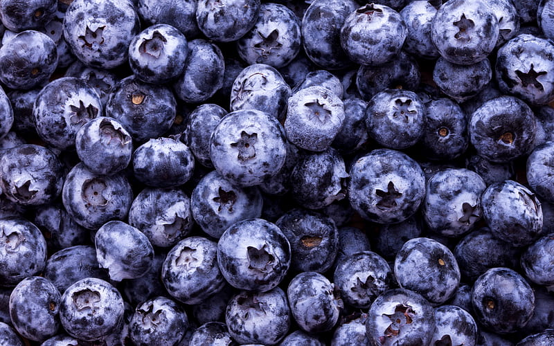 blueberry texture, berries texture, background with blueberries, food texture, blueberries, HD wallpaper