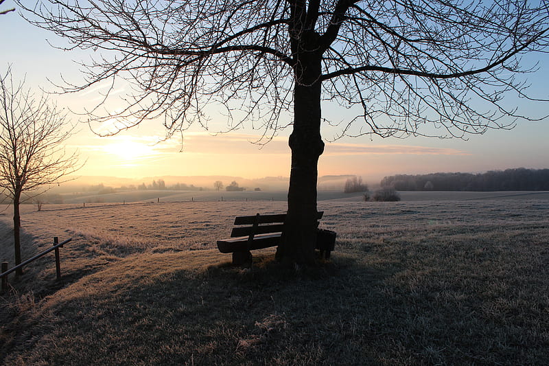 bench, dawn, frost, winter, solitude, silence, HD wallpaper