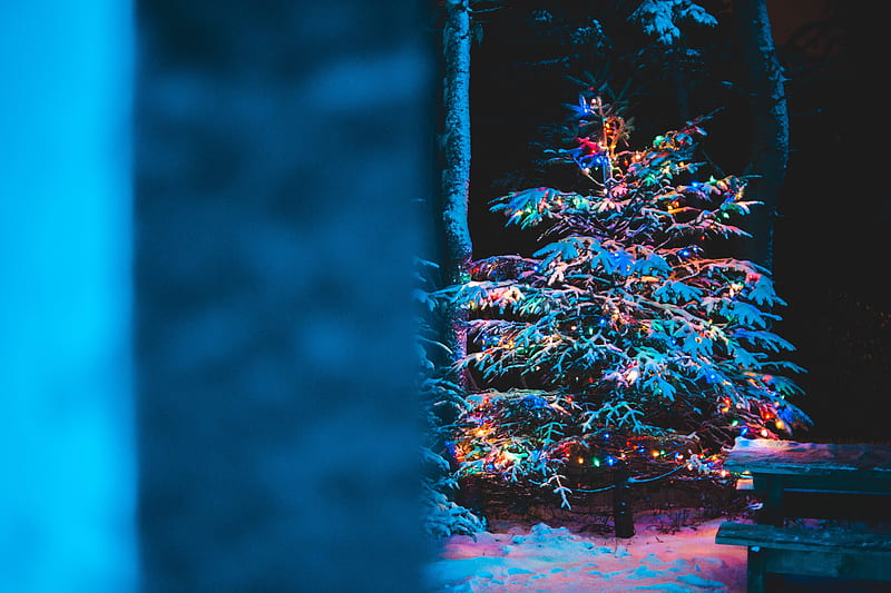 tree, garland, snow, new year, christmas, HD wallpaper