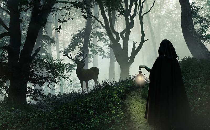 The encounter, girl, lantern, velena revers, dark, silhouette, night, deer, forest, luminos, fantasy, HD wallpaper