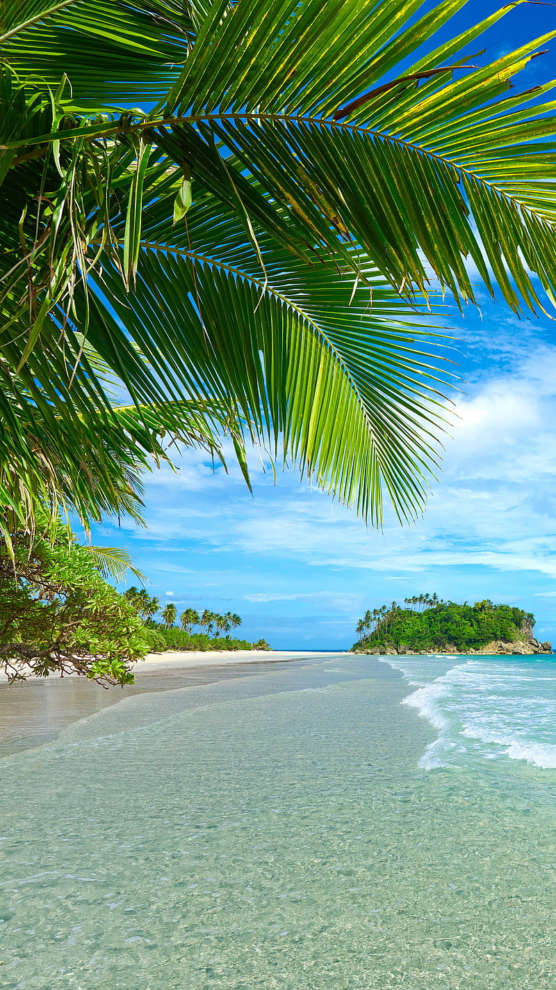 Tropical Beach, nature, palmy, water, HD phone wallpaper