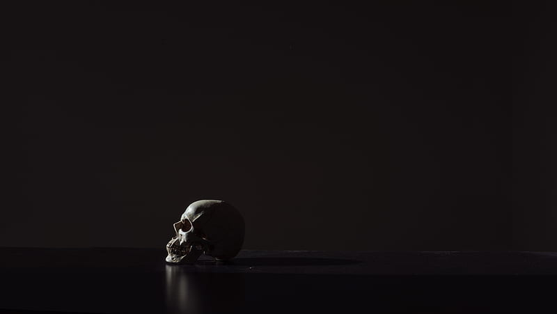 Human skull on black background, HD wallpaper | Peakpx