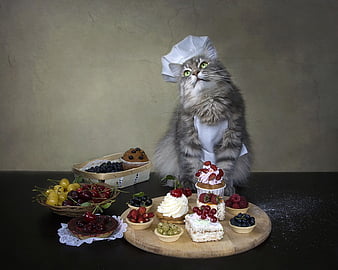 Kawaii Cupcakes, Kitty, and Chef 