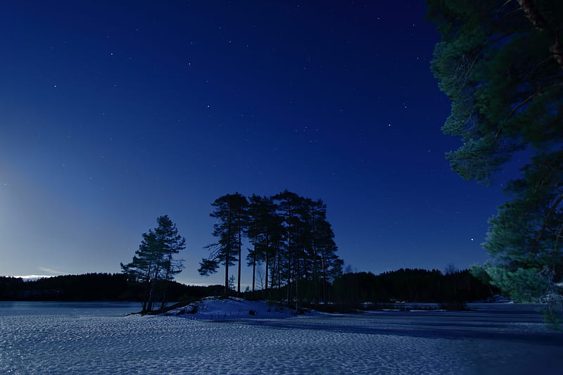 starry sky, winter, snow, trees, night, twilight, HD wallpaper