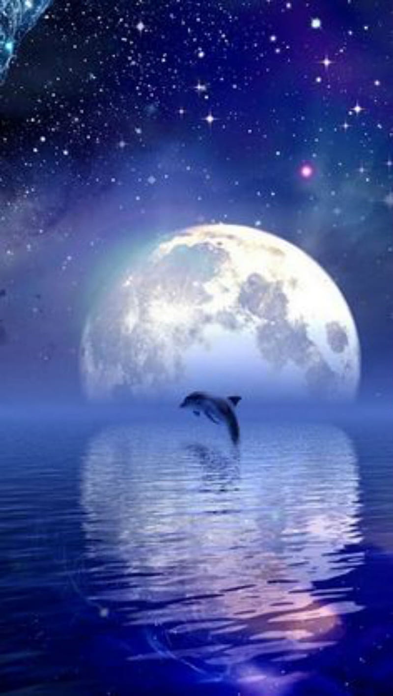 Dolphin, sea, ocean, full moon, reflection, starry, galaxy, universe, HD phone wallpaper