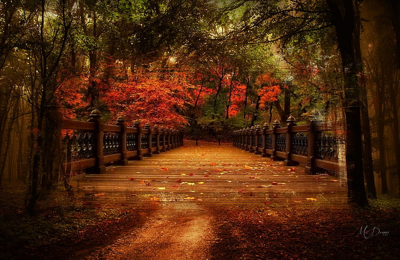 Autumn Bridge Collage, wooden bridge, fall, autumn, leaves, bright ...