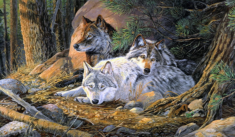Three Sisters, painting, forest, sisters, wolves, HD wallpaper