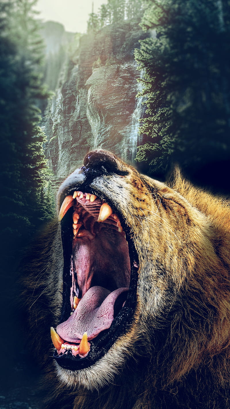 roar, jungle, leo, leon, lion, pets, HD phone wallpaper