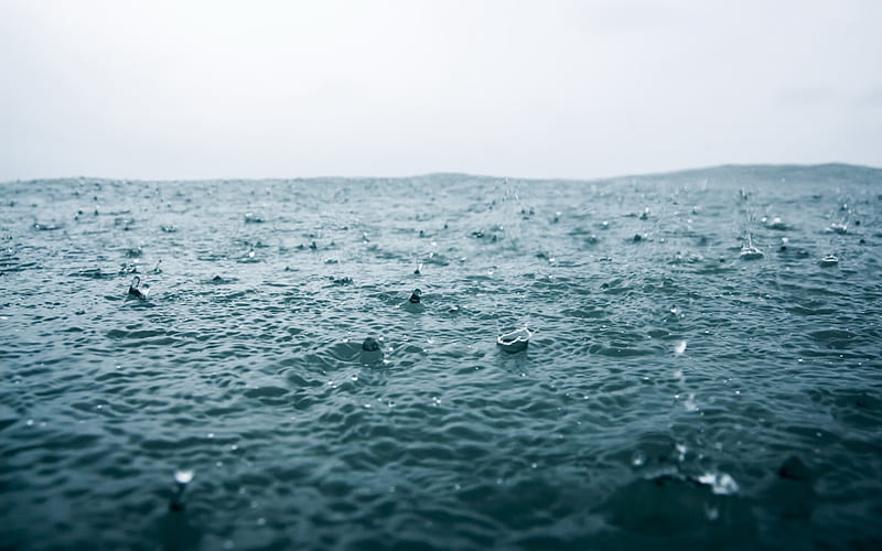 rain, drops, sea, waves, rain in the sea, HD wallpaper
