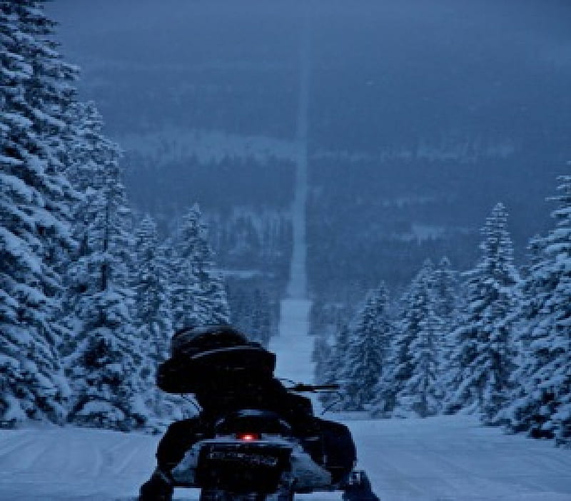 Snowmobile Trail, forest, snowmobile, trail, man, winter, HD wallpaper