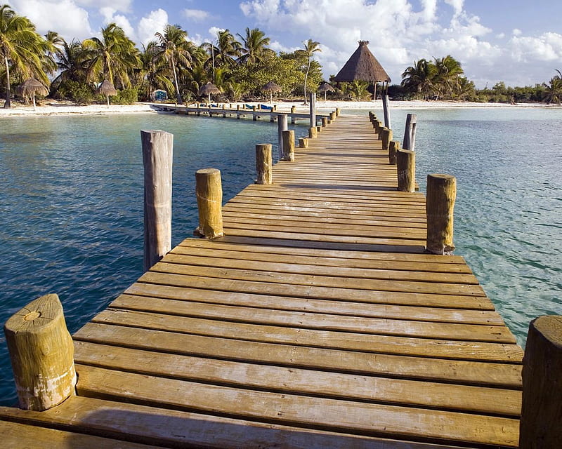 Isla contoy cancun yucatan mexico, arena, agua, árboles, muelle, Fondo de  pantalla HD | Peakpx