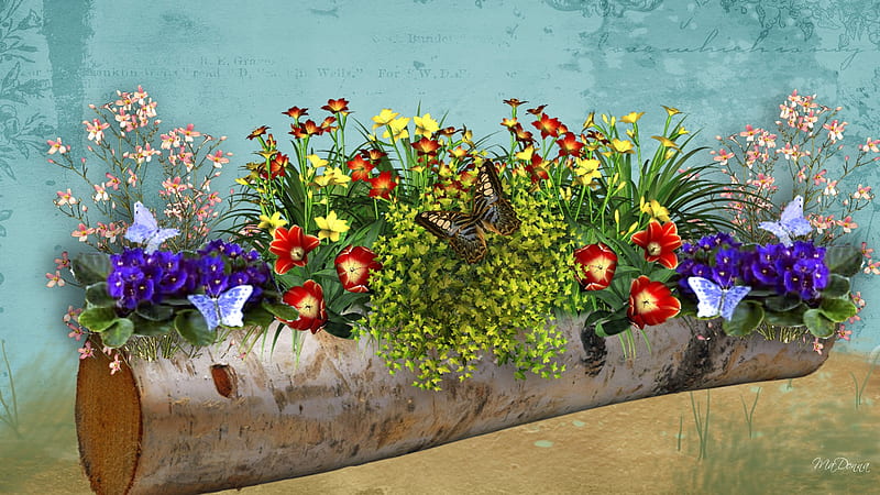 Floral Pleasures, summer, ground, flowers, birch, firefox persona, spring, butterflies, log, HD wallpaper