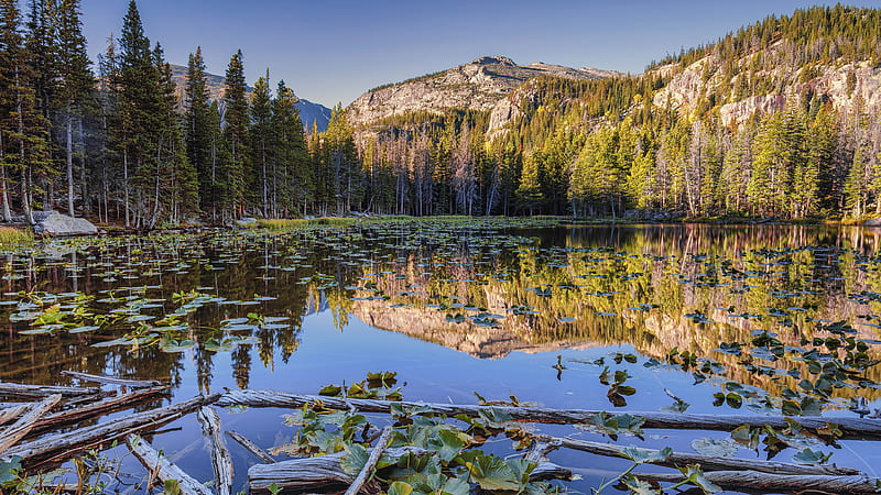 Lakes, Lake, Fir Tree, Mountain, Reflection, HD wallpaper