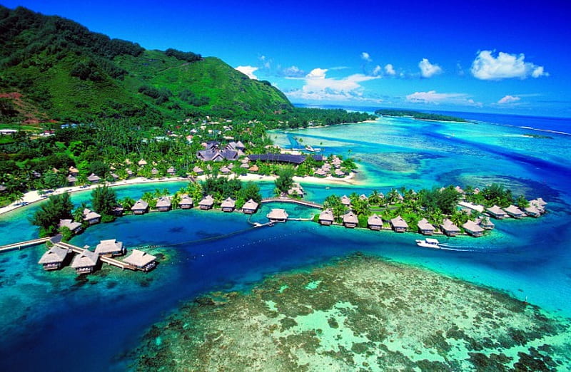 Moorea, Tahiti, cottages, water, island, trees, bay, hill, sea, HD wallpaper