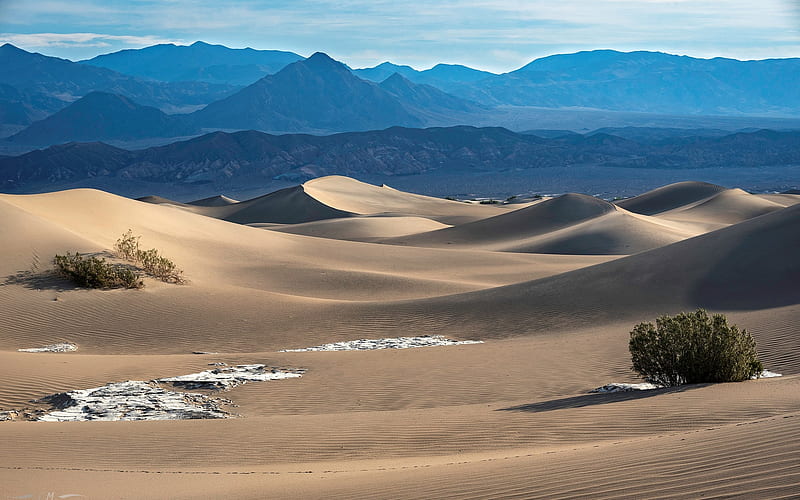 Desert in California, sand, USA, desert, California, HD wallpaper | Peakpx