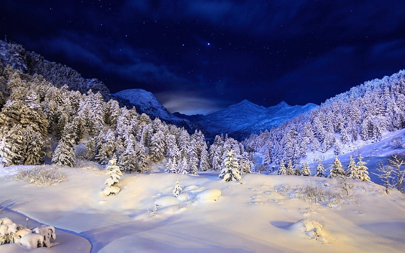 Winter Night snowy, nice, lightness, multicolor, mounts, bright, shadows, peaks, sunrise, forests, star, moonlit, , dawn, brightness, black, starry, sky, trees, pines, winter, panorama, snowy meadow, cool, snow, mountains, awesome, moonlight, hop, white, landscape, colorful, scenic, gray, bonito, seasons graphy, snowy field, scenery, light, blue, night amazing, view, colors, starry night, dark, nature, earth, scene, HD wallpaper