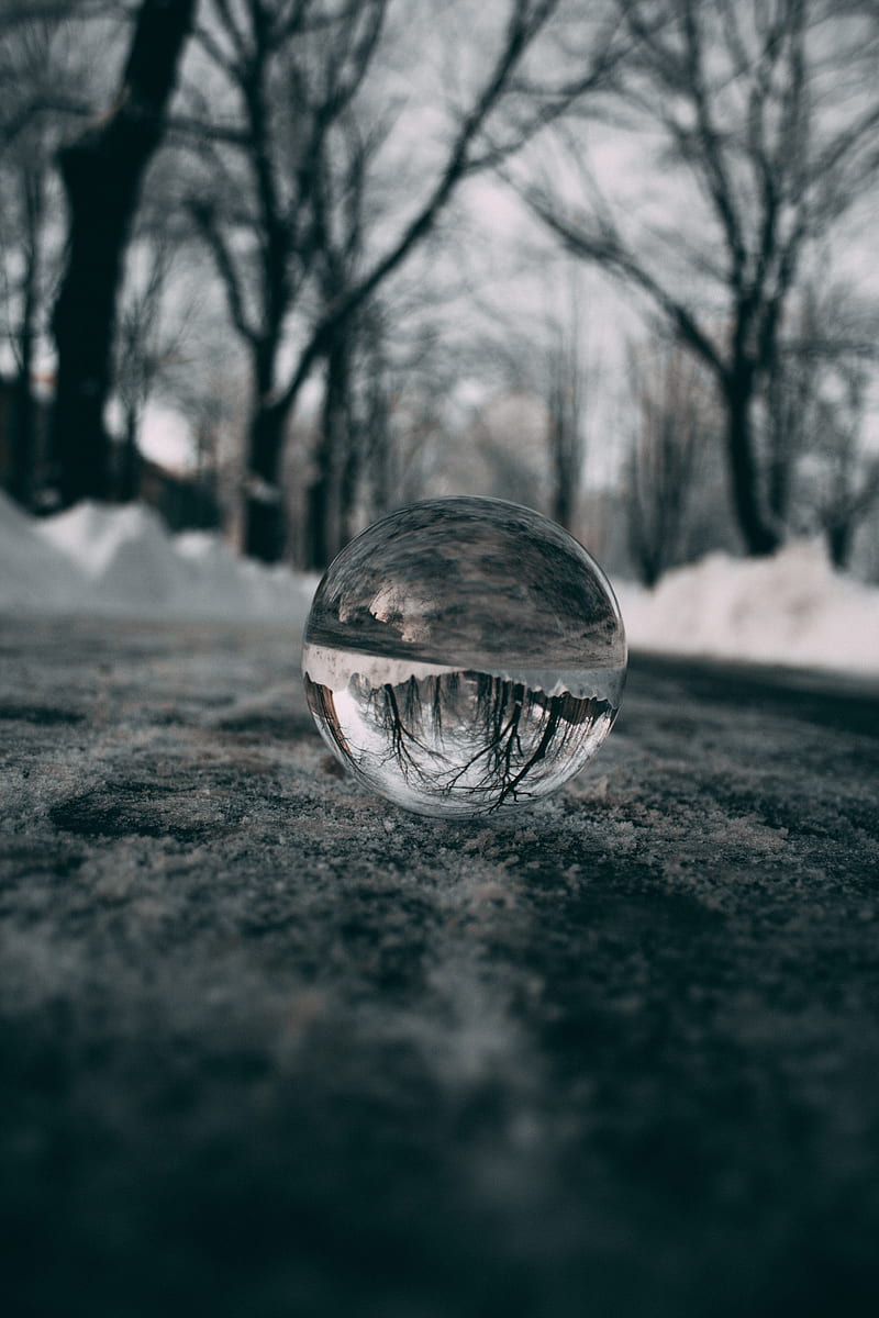 ball, glass, reflection, macro, blur, snow, trees, HD phone wallpaper