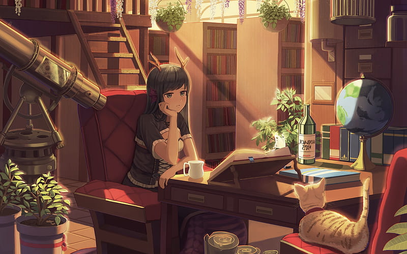 Books, Horns, Studying, Neko, Room, Library, Anime Girl - Resolution:, HD wallpaper
