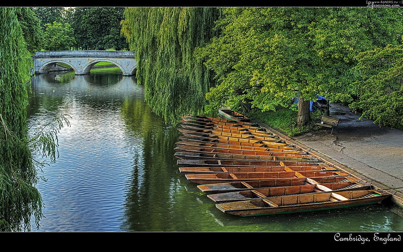 Cambridge, england, cam, bench, trees, boats, willow, bridge, rowing, peaceful, nature, river, wooden, HD wallpaper