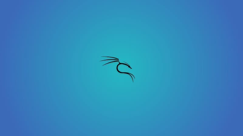 Kali Linux, kali, linux, HD wallpaper | Peakpx