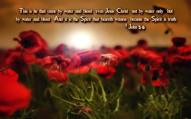 For the Spirit is Truth, bible verses, sunset, blood, spirit, jesus, water, truth, scriptures, flowers, fields, morning, bible, god, holy spirit, HD wallpaper