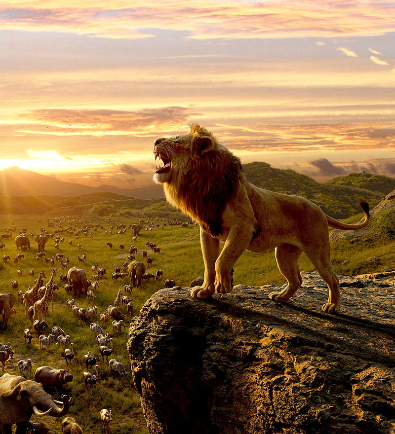 simba, the lion king, roar, cliff, Movies, HD phone wallpaper