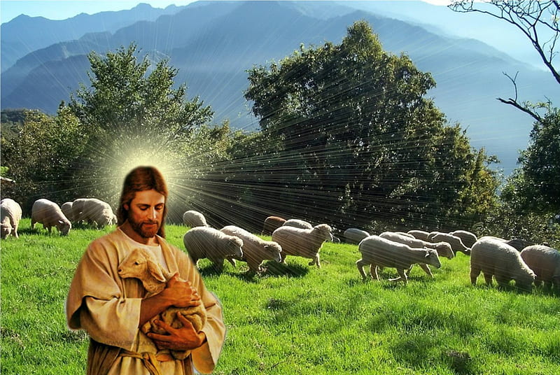 1920x1080px, 1080P free download | Tke Lord god shepherd, christ, sheep ...