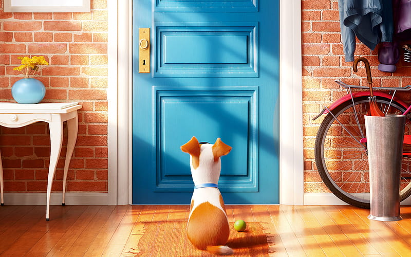 2016 The Secrete Life of Pets, the-secret-life-of-pets, movies, animated-movies, cartoons, HD wallpaper
