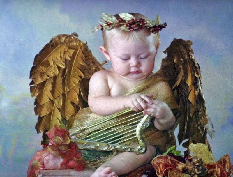 Music Angel, harp, cute, wings, chubby, HD wallpaper