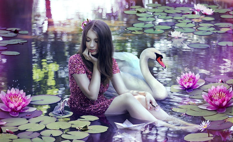 * Beauty and the swan *, white swan, girl, dreamer, water lily, flower, beauty, swan, lake, HD wallpaper