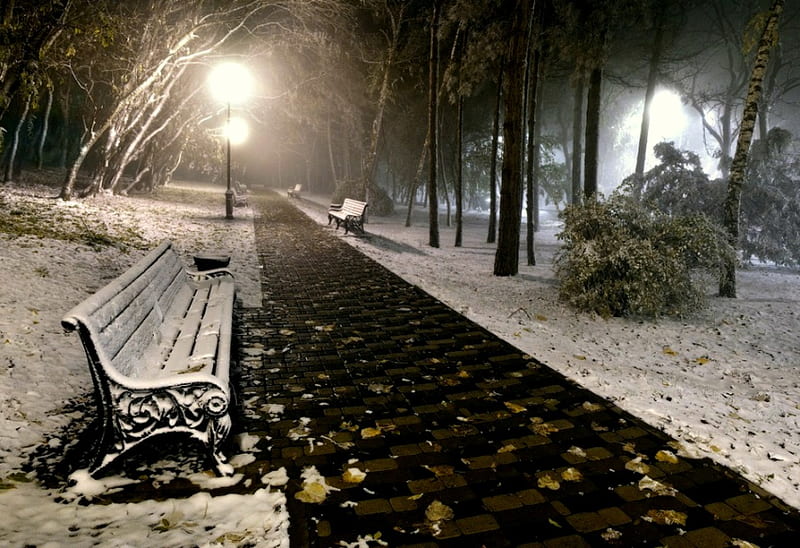 Cold Serenity, snow, benches, streetlights, park, cobblestone walkway, trees, lights, HD wallpaper