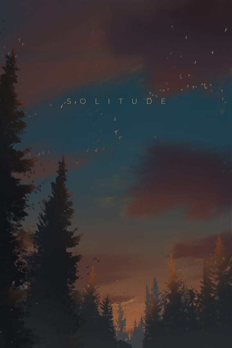 solitude, word, text, forest, art, HD phone wallpaper