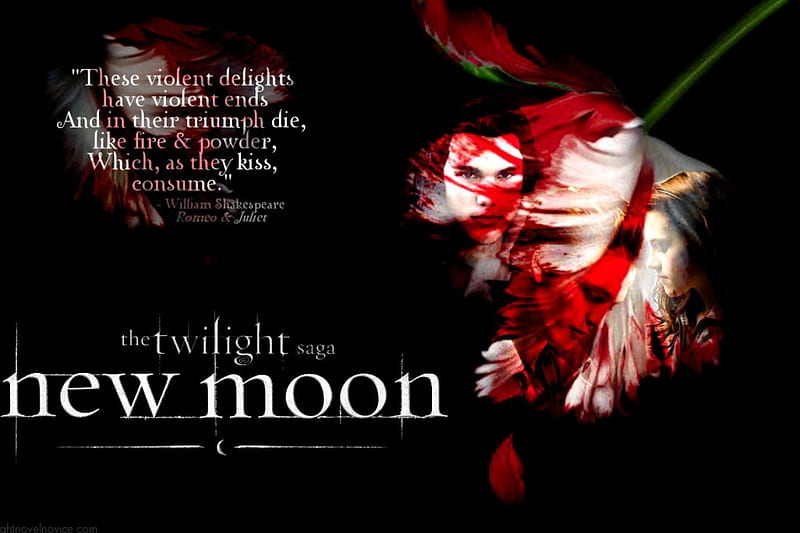 New Moon and Shakespeare, breaking dawn, bella swan, jacob black, bella, twilight, taylor lautner, kristen stewart, eclipse, new moon, edward, cullen, robert pattinson, HD wallpaper