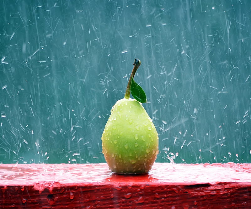 bonito, guava, rain, HD wallpaper