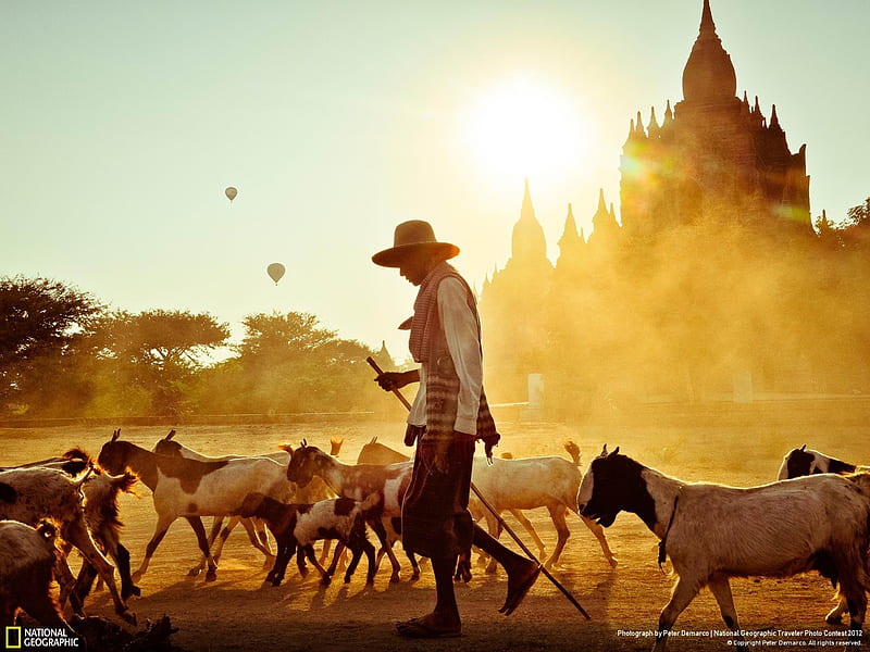 Bagan Bliss-National Geographic, HD wallpaper