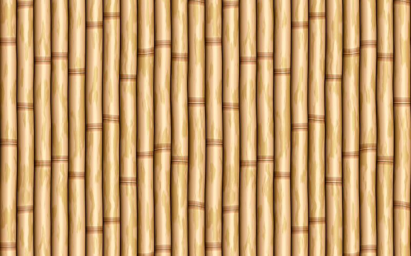 light bamboo texture bambusoideae sticks, bamboo textures, bamboo canes, bamboo sticks, brown wooden backgrounds, bamboo, HD wallpaper