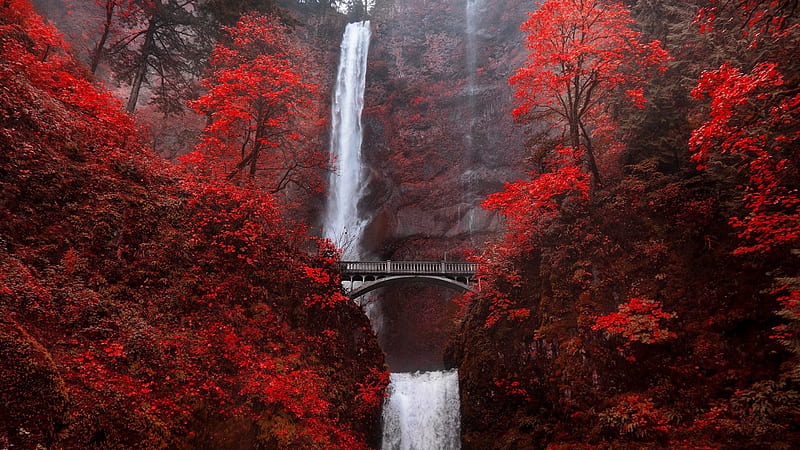 Bridge Between Red Autumn Trees Covered Mountains With Waterfalls Background Columbia River Gorge National Scenic Area Nature, HD wallpaper