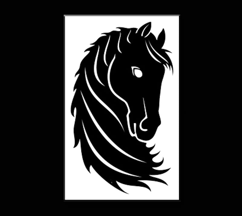 Black White Horse, animals, horse, horse head, pleasure, riding, HD wallpaper