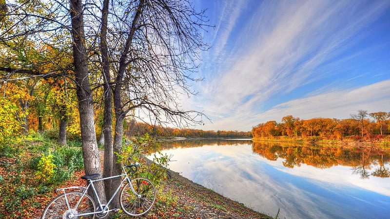 bicycle leaning on a tree by a rive r, autumn, rive, r, bike, reflection, trees, HD wallpaper