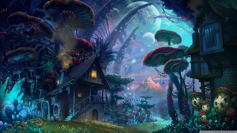 fantasy forest, mushroom, forest, colours, fantasy, HD wallpaper