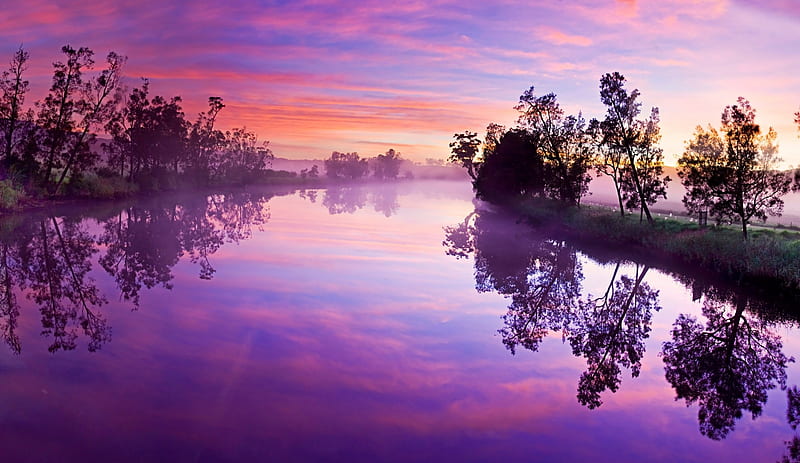 Purple River, Tree, Sky, Nature, River, HD wallpaper