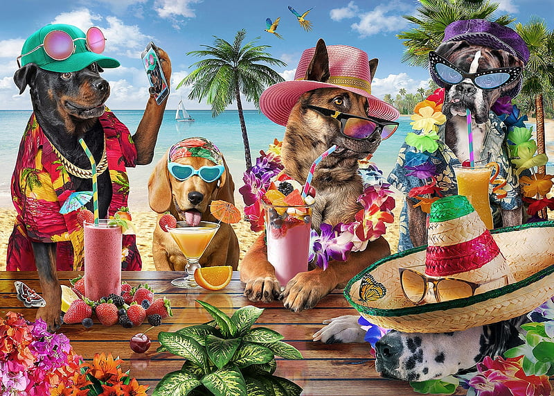 Summer party, adrian chesterman, summer, drink, party, dog, hat, fruit, vara, fantasy, funny, pink, HD wallpaper
