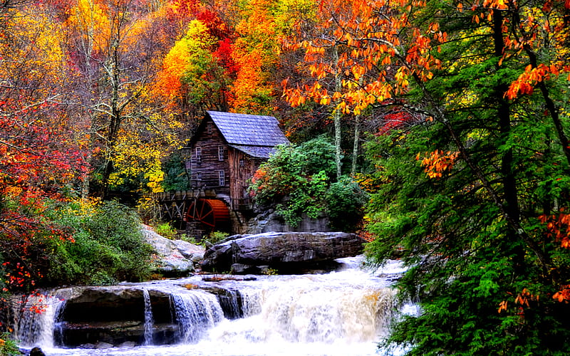 Autumn Splendor, rocks, stream, pretty, house, grass, autumn leaves, magic, stones, splendor, waterfall, vegetation, beauty, water cascades, lovely, houses, trees, waterfalls, water, fall, colorful, autumn, mill, woods, bonito, leaves, cascades, green, water mill, river, forest, calmness, view, colors, creek, tree, autumn colors, peaceful, nature, hidden, HD wallpaper