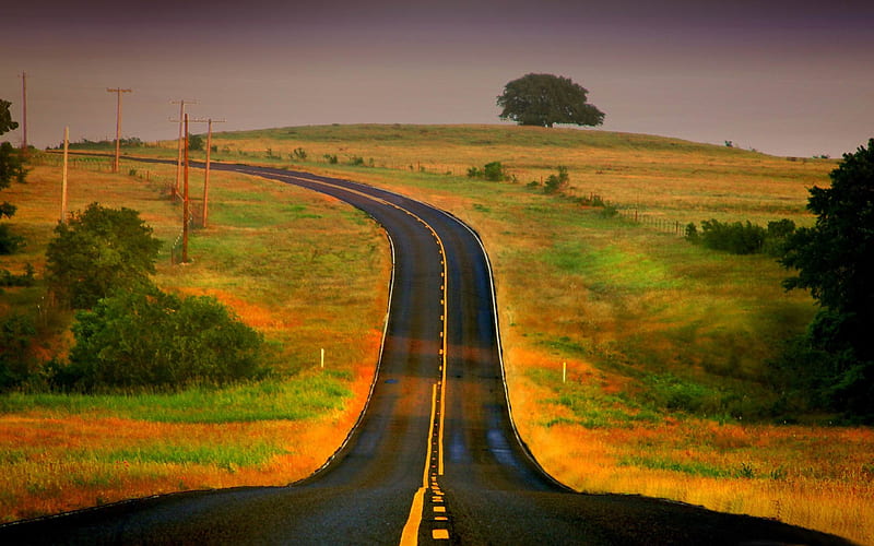 curved road-The magnificent natural scenery, HD wallpaper