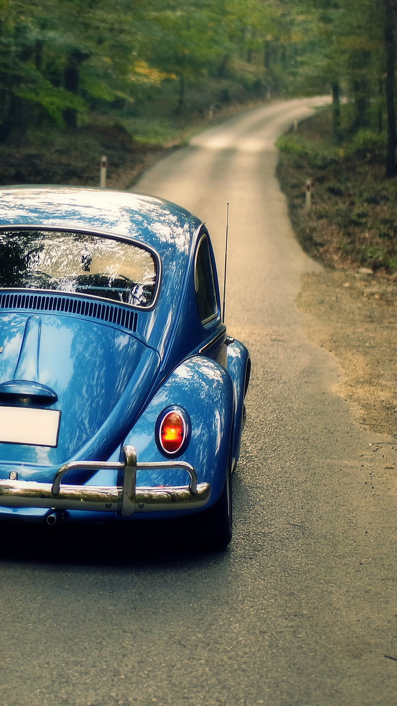 Volkswagen Beetle, blue, classic car, forest, new, HD phone wallpaper |  Peakpx