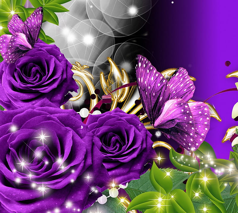 purple rose, butterfly, garden, nature, purple flowers, HD wallpaper